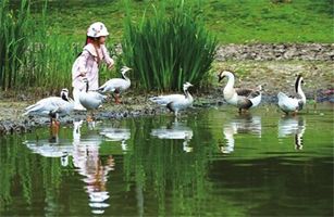 關(guān)于人與自然和諧共生，二十大報(bào)告中這樣說