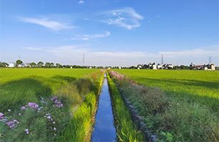 農(nóng)田退水“零直排”模式樣板